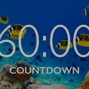 60 Minute Timer With Relaxing Music And Alarm