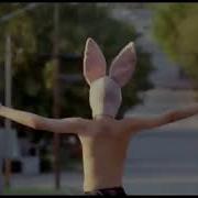 Memento Mori Of Gummo