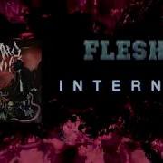 FLESH INTERNAL Official Audio