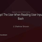 06 Prompt The User When Reading User Inputs In Bash