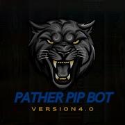 Backeting Python Trading Bot With Hyper Liquid And Python Full Beginner Tutorial DAY2