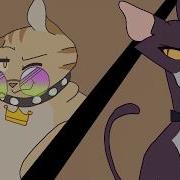 Misfit Oc AMV Flashing Colors Warning