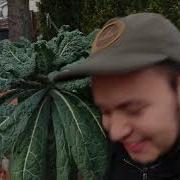 Овощи которые можно выращивать всю зиму в Зоне 7 полный обзор сада