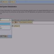 Using Solution Manager To Perform Daily System Checks TIP 5