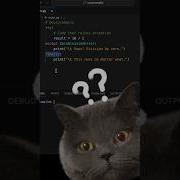 Have You Used The Finally Keyword In Python Codingtips Python Pythontips