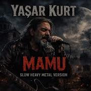 Yaşar Kurt Ah Mamu
