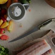 Gerber Ceviche Fillet Knife