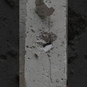 газобетон UDK или ДЗСМ