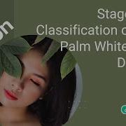 Python Image Processing ML Based Framework For A Stage Wise Classification ClickMyProject