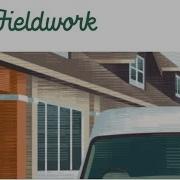 Fieldwork Payment Fees