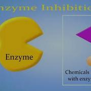 Enzyme Inhibition Competitive Vs Non Competitive Allosteric