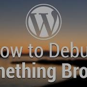 Part 54 WordPress Theme Development How To Debug Something Broken