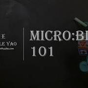 Micro Bit 101 專題1 Flashing Heart 閃爍的心