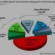 BTH403 Unit1 Lecture 3 Introduction O Transcriptomis RNAomics