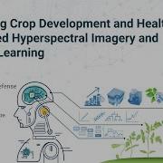 Monitoring Crops Using Drones Hyperspectral And Machine Learning