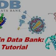 Как использовать банк данных белков RCSB PDB Базовое руководство лекция по биоинформатике эп