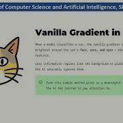 Unlocking AI S Vision Understanding Saliency Maps