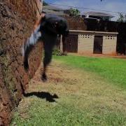 Inward Side Flip Tutorial