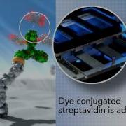 NanoArray Assays More Proteomic Data From Less Sample V 2