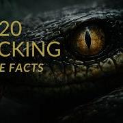 20 Shocking Snake Facts That Will Change How You See Them