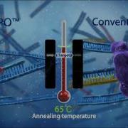 DPO Technology Structure Feature