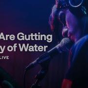 They Are Gutting A Body Of Water On Audiotree Live Full Session