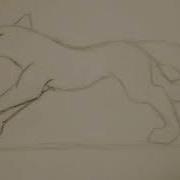 Wolf Running Cycle Test Animation