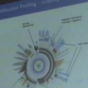 OUD 2012 Cagdas Bozman Study Of OCaml Programs Memory Behaviour