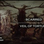Minatory SCARRED Veil Of Torture