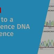 How To Align DNA Sequences To A Reference In SnapGene