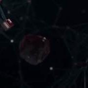 3D Plexus Presentation