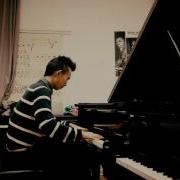 Ahrix Nova Explicit Piano Cover By David Fang