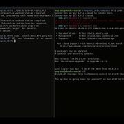 Testing Polymorphic Shellcode Payloads