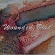 Wounded Bird