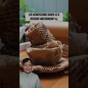 This Honeycomb Paper Might Replace A Bubble Wrap Idealightbulb Business Inspiration