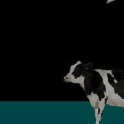 Cow Error 323
