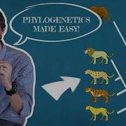 Clint Explains Phylogenetics There Are A Million Wrong Ways To Read A Phylogenetic Tree