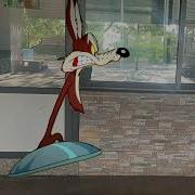 Road Runner And Wile E Coyote In Real Life