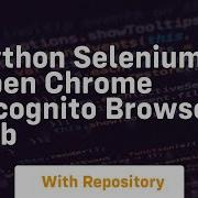 Python Selenium Open Chrome Incognito Browser Tab
