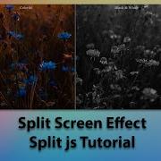 Split Js Tutorial Split Screen Effect Image Color Change 2021