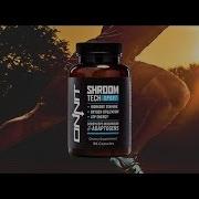 Onnit Shroom Tech Sport Clinical Trial