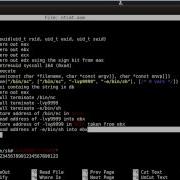 Netcat Shellcode Part 1