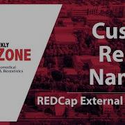 REDZone Custom Record Naming