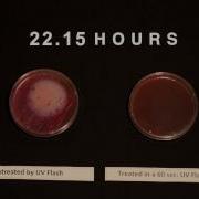 Midbrook UV Time Lapse 2