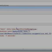 201 Example Of Throw In Java Programming Hindi