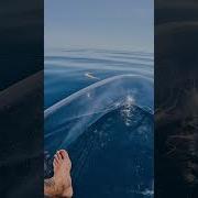 Transparent Kayak Hits Different In Deep Water