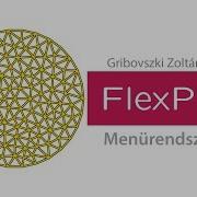 FlexPDE Menürendszer