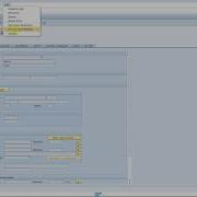 SAP Solution Manager Service Desk Reporting A Functional Problem Int Transaction BP