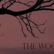 The Woods Title Sequence