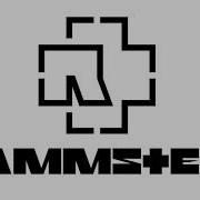 Rammstein Was Ich Liebe Guitar Cover